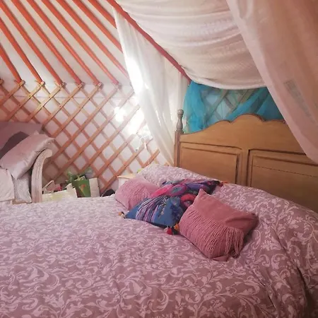 Yurta De Arico Арико-Вьехо