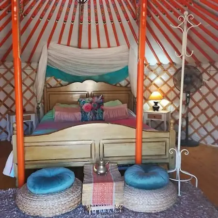 Luxe tent Yurta De Arico Arico Viejo