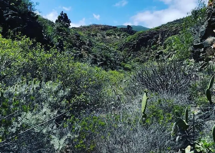 Glamping Yurta De Arico *