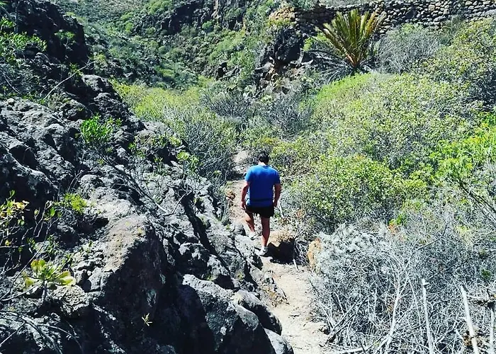 Yurta De Arico * Arico Viejo